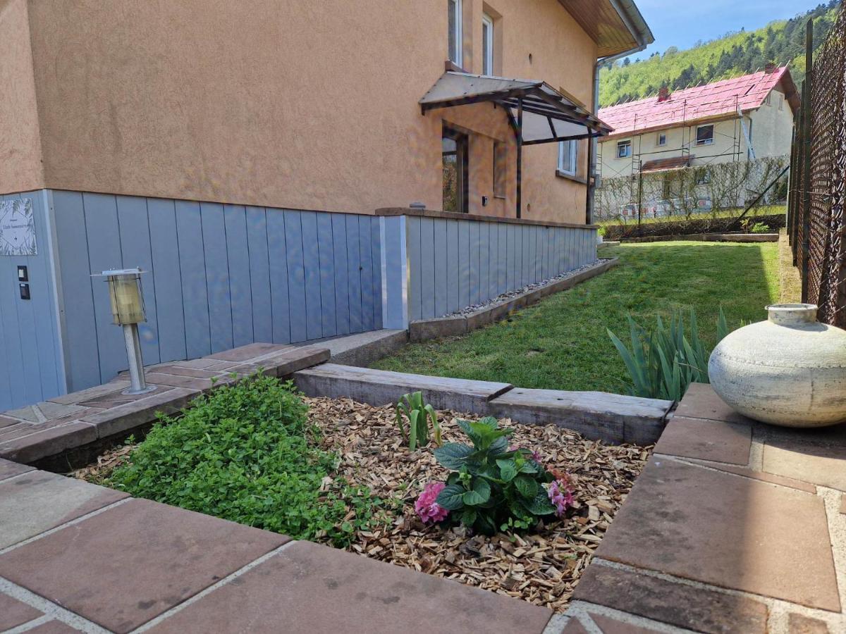 L'Ecole Buissonniere Apartment Dabo Bagian luar foto